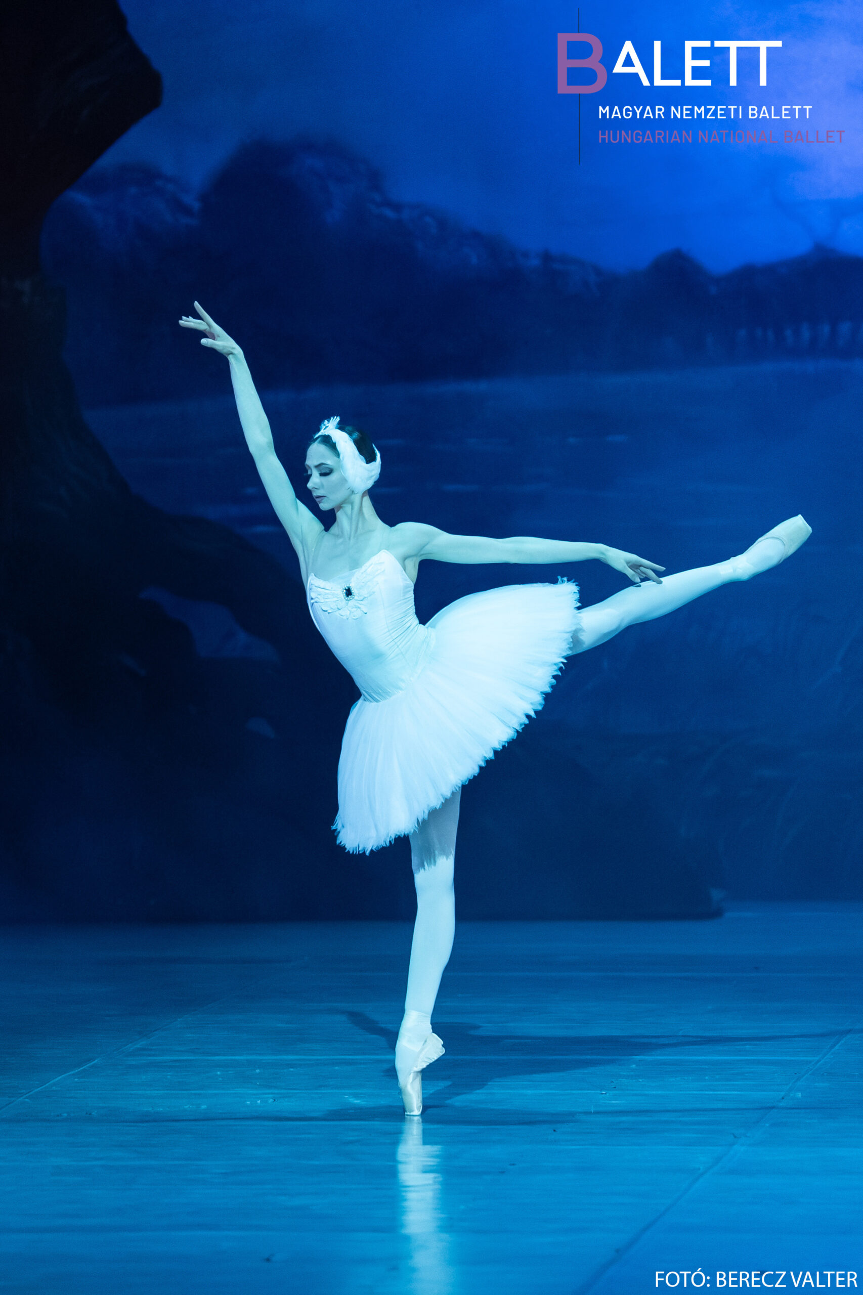Swan Lake, Photo by Berec Valter