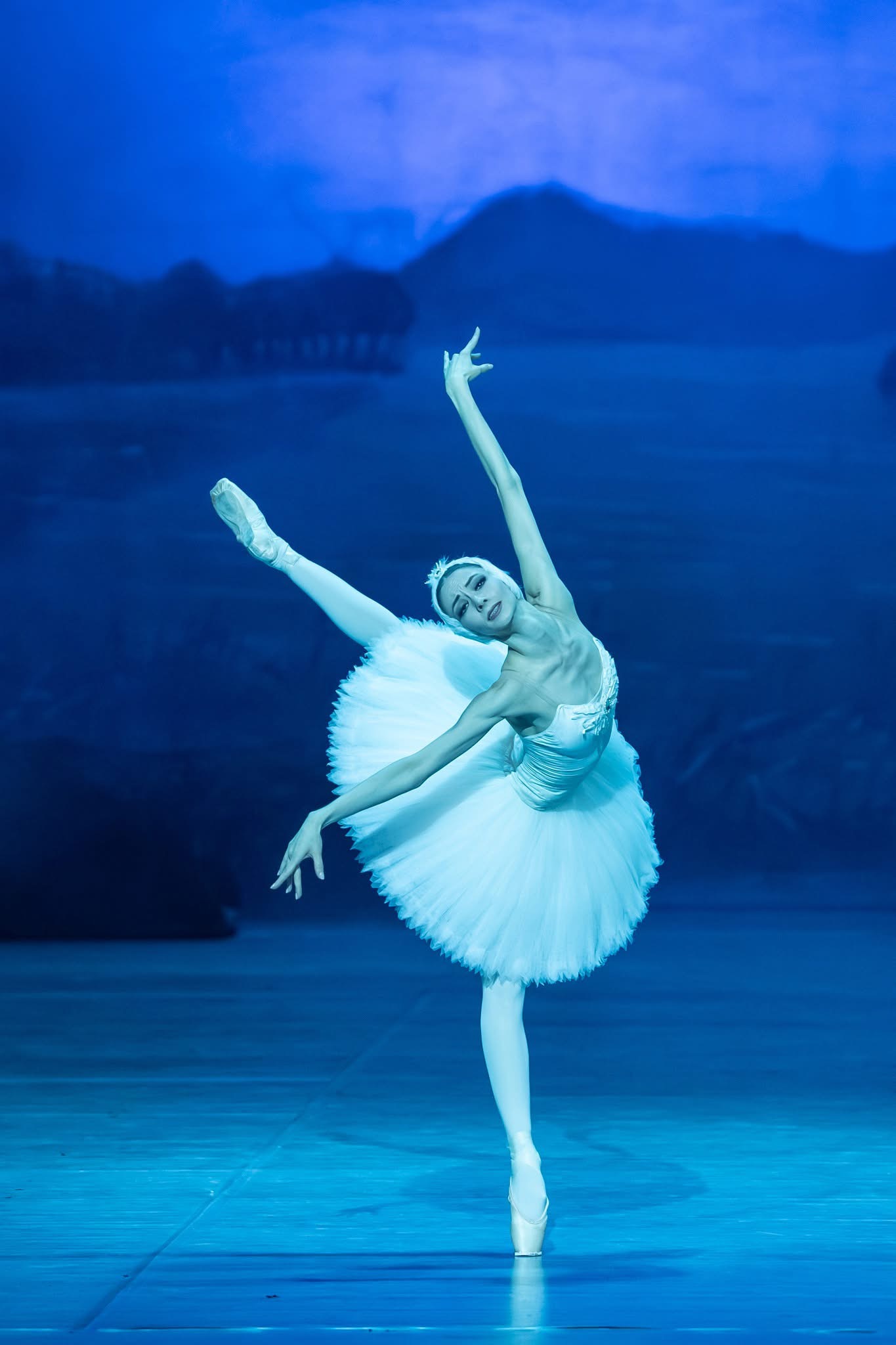 Swan Lake, Photo by Berec Valter